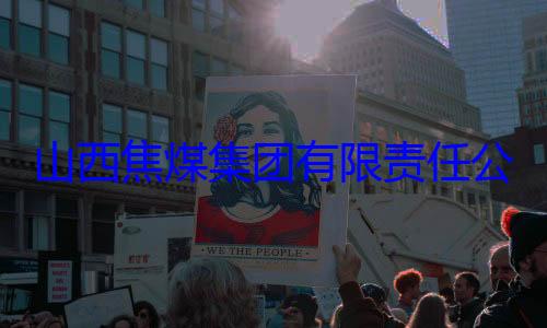 团有限责任公司原副总山西焦煤集查经理杨新华接受审查调